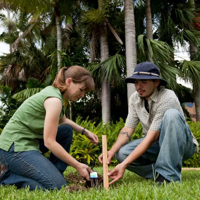 thumbnail for publication: Cost-Share Programs for Soil Moisture Sensors and Irrigation Projects in Florida: A Guide for Agricultural Growers